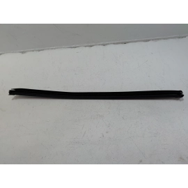 2018-2025 Volkswagen Atlas Front Left Driver Side Window Weatherstrip Seal OEM