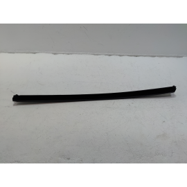 2018-2025 Volkswagen Atlas Front Left Driver Side Window Weatherstrip Seal OEM