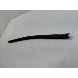 2018-2025 Volkswagen Atlas Front Left Driver Side Window Weatherstrip Seal OEM