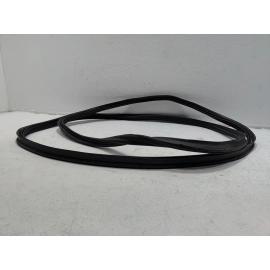 2018-2025 Volkswagen Atlas Trunk Back Door Tailgate Body Weatherstrip Seal OEM