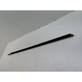 2016 - 2020 HONDA CIVIC COUPE PASSENGER SIDE DOOR WINDOW BELT MOLDING OEM