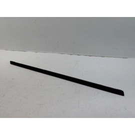 2016-20 HONDA CIVIC COUPE PASSNGER SIDE DOOR WINDOW INNER WEATHERSTRIP SEAL OEM