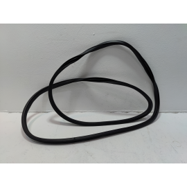 2016-2020 HONDA CIVIC COUPE RIGHT OR LEFT SIDE DOOR BODY WEATHERSTRIP SEAL OEM