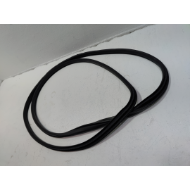 2016-2020 HONDA CIVIC COUPE RIGHT OR LEFT SIDE DOOR BODY WEATHERSTRIP SEAL OEM