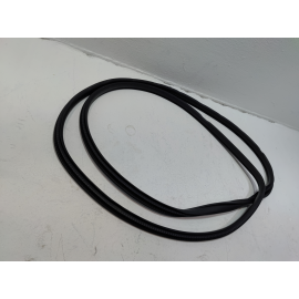 2016-2020 HONDA CIVIC COUPE RIGHT OR LEFT SIDE DOOR BODY WEATHERSTRIP SEAL OEM