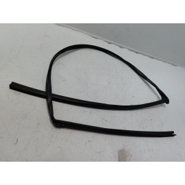 2016-2020 HONDA CIVIC COUPE FRONT DRIVER DOOR WINDOW GLASS RUN CHANNEL SEAL OEM