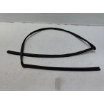 2016-2020 HONDA CIVIC COUPE FRONT DRIVER DOOR WINDOW GLASS RUN CHANNEL SEAL OEM
