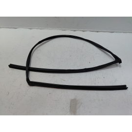 2016-2020 HONDA CIVIC COUPE FRONT DRIVER DOOR WINDOW GLASS RUN CHANNEL SEAL OEM