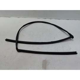 2016-2020 HONDA CIVIC COUPE FRONT DRIVER DOOR WINDOW GLASS RUN CHANNEL SEAL OEM
