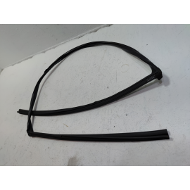 2016-2020 HONDA CIVIC COUPE FRONT DRIVER DOOR WINDOW GLASS RUN CHANNEL SEAL OEM