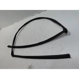 2016-2020 HONDA CIVIC COUPE FRONT DRIVER DOOR WINDOW GLASS RUN CHANNEL SEAL OEM