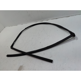 2016-2020 HONDA CIVIC COUPE FRONT DRIVER DOOR WINDOW GLASS RUN CHANNEL SEAL OEM