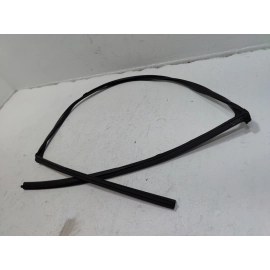2016-2020 HONDA CIVIC COUPE FRONT DRIVER DOOR WINDOW GLASS RUN CHANNEL SEAL OEM