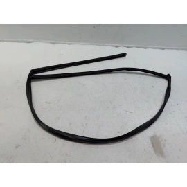 2016-2020 HONDA CIVIC COUPE FRONT DRIVER DOOR WINDOW GLASS RUN CHANNEL SEAL OEM