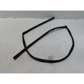 2016-2020 HONDA CIVIC COUPE FRONT DRIVER DOOR WINDOW GLASS RUN CHANNEL SEAL OEM