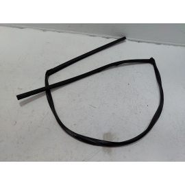 2016-2020 HONDA CIVIC COUPE FRONT DRIVER DOOR WINDOW GLASS RUN CHANNEL SEAL OEM