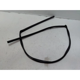 2016-2020 HONDA CIVIC COUPE FRONT DRIVER DOOR WINDOW GLASS RUN CHANNEL SEAL OEM