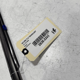 FRONT RIGHT PASSENGER SIDE DOOR WINDOW BELT MOLDING OEM ACURA TLX 2015-2020