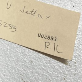 VOLKSWAGEN JETTA 2019 - 2021 REAR LEFT SIDE DOOR WINDOW REGULATOR MOTOR OEM