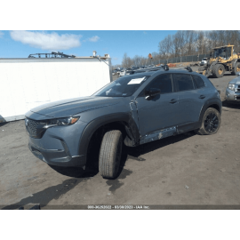 2023 MAZDA CX-50 FRONT LEFT DRIVER SIDE ON DOOR WEATHERSTRIP SEAL OEM