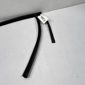 FORD FUSION 2017-20 REAR RIGHT PASSENGER DOOR WINDOW GLASS RUN CHANNEL SEAL