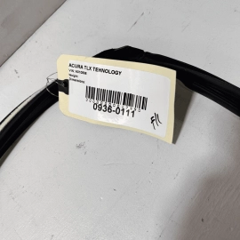Window Seal Front Left Driver Acura TLX 2015-2020 OEM