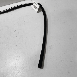 Window Seal Front Left Driver Acura TLX 2015-2020 OEM