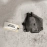 AUDI A6 FWD ENGINE LEFT SIDE MOTOR MOUNT RETAINER PLATE 2012-2018 OEM