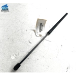 Toyota Camry 18-2020 Passenger Side Hood Lift Cylinder Support Shock Strut 