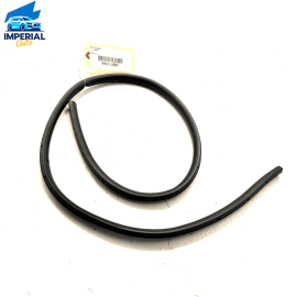 BMW M240xi F23 2017-2021 FRONT LEFT DRIVER SIDE DOOR LOWER WEATHERSTRIP SEA