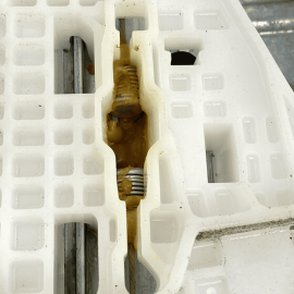 Ford Escape 2013 2014 2015 2016 2017 2018-2019 Rear Left Door Window Regula