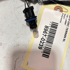2018-2021 GMC TERRAIN REAR LICENSE PLATE LIGHT LAMPS & WIRING HARNESS OEM