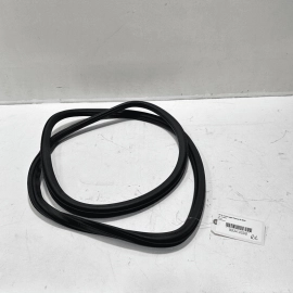 2012-2022 VOLKSWAGEN PASSAT REAR LEFT DRIVER DOOR BODY WEATHERSTRIP SEAL OE