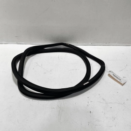 2012-2022 VOLKSWAGEN PASSAT REAR LEFT DRIVER DOOR BODY WEATHERSTRIP SEAL OE