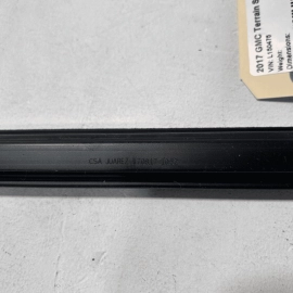 Front Passenger Side Door Window Weatherstrip Seal GMC Terrain 2018-2023 OE