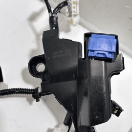 2019 Toyota Camry L FWD Body Floor Main Wire Wiring Harness OEM