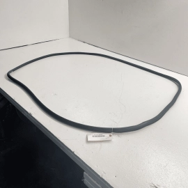 GMC TERRAIN 2018 - 2023 FRONT RIGHT PASSENGER SIDE DOOR WEATHERSTRIP SEAL O