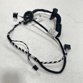 VOLKSWAGEN TIGUAN REAR RIGHT PASSENGER DOOR WIRE WIRING HARNESS 2018 OEM