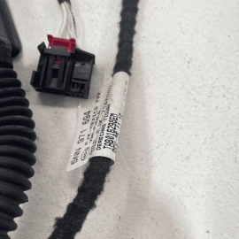 VOLKSWAGEN TIGUAN REAR RIGHT PASSENGER DOOR WIRE WIRING HARNESS 2018 OEM