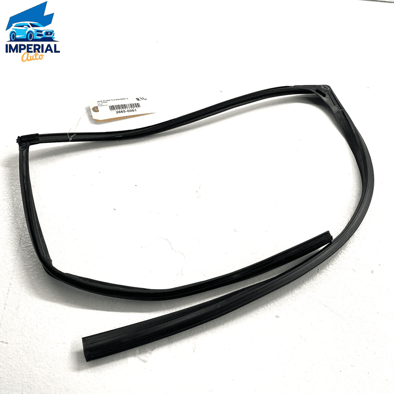 2015-2020 Acura TLX Rear Left Driver Side Door Window Glass Run Channel Sea