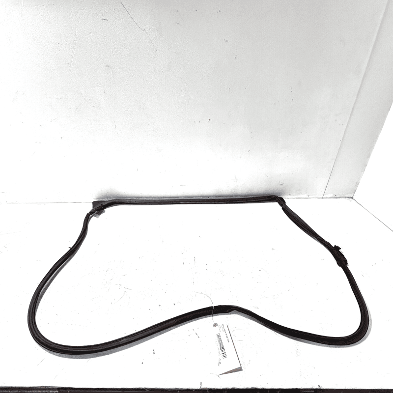2014-2015 LEXUS IS250 REAR LEFT DRIVER DOOR SURROUND WEATHERSTRIP SEAL OEM