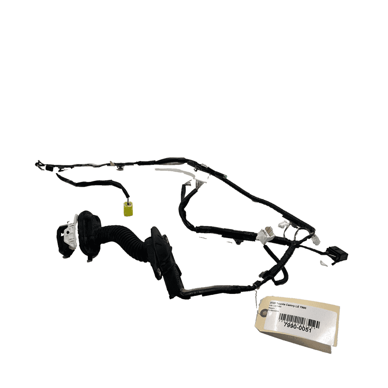 TOYOTA CAMRY LE FRONT LEFT DRIVER SIDE DOOR WIRE WIRING HARNESS 2020 OEM 1P
