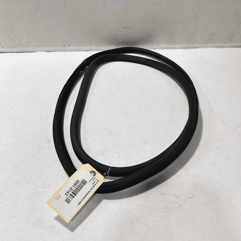 2010-11-12-13-14-15-2016 PORSCHE PANAMERA DOOR SEALING REAR LEFT OEM