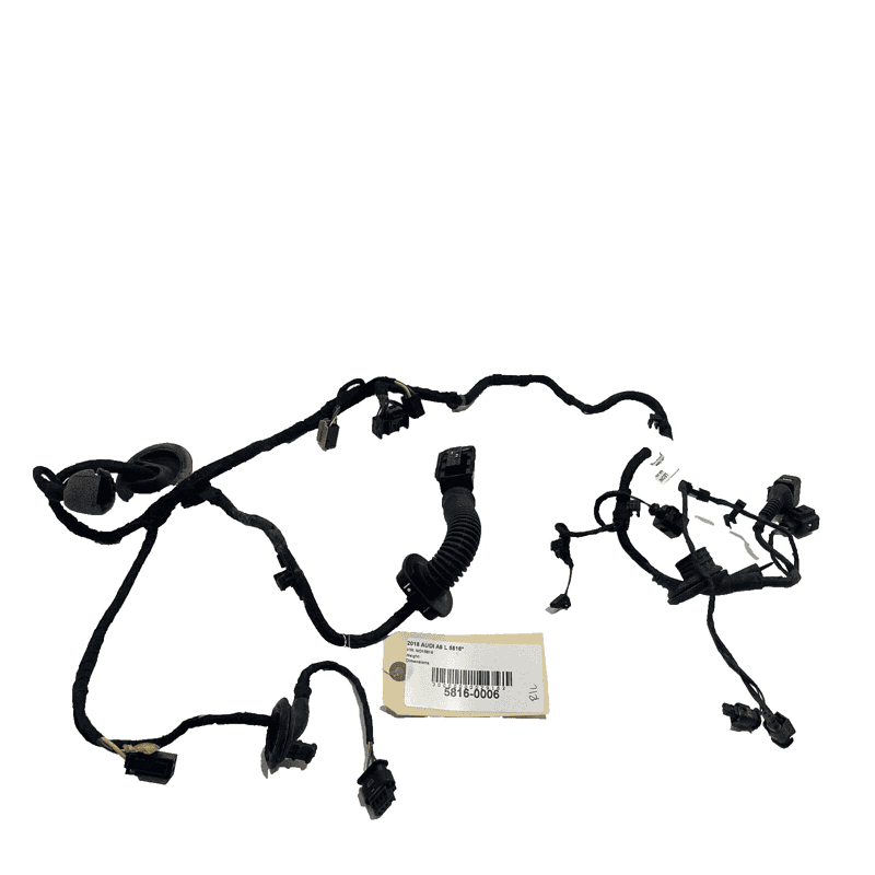 2011-2018 AUDI A8 L QUATTRO REAR LEFT DRIVER SIDE DOOR WIRING HARNESS WIRE 