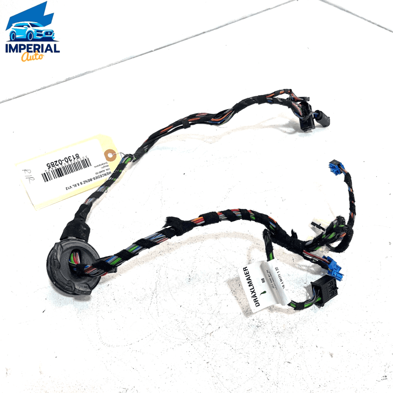 2007-2013 MERCEDES S600 REAR RIGHT PASSENGER SIDE DOOR WIRE WIRING HARNESS 
