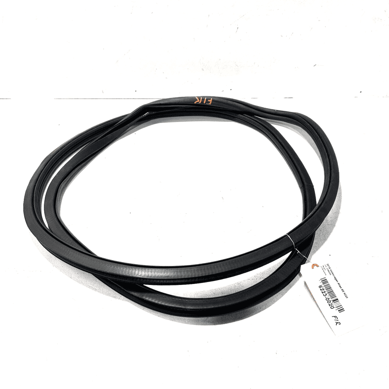 2018-2023 VOLKSWAGEN ATLAS FRONT DRIVER SIDE DOOR BODY WEATHERSTRIP SEAL OE