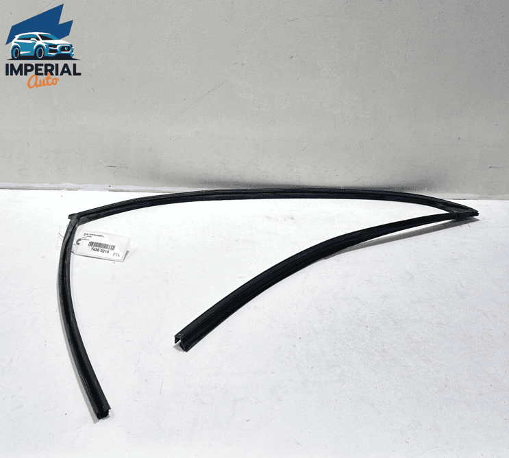 18-23 TOYOTA CAMRY FRONT LEFT DRIVER SIDE DOOR WINDOW GLASS RUN CHANNEL OEM
