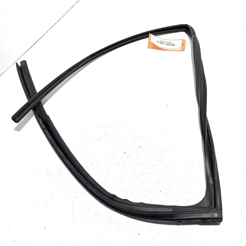 2019-2023 TOYOTA CAMRY REAR RIGHT DOOR GLASS RUN WEATHERSTRIP SEAL OEM