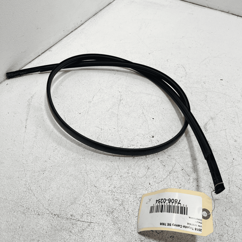 2018-2023 TOYOTA CAMRY SE ROOF RIGHT SIDE DRIP MOLDING TRIM OEM