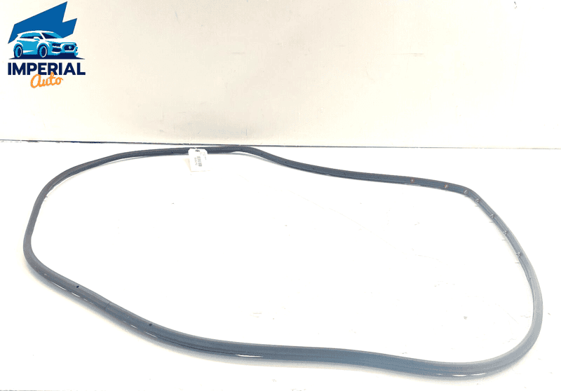 GMC TERRAIN 2018 - 2023 REAR RIGHT PASSENGER SIDE DOOR WEATHERSTRIP SEAL OE